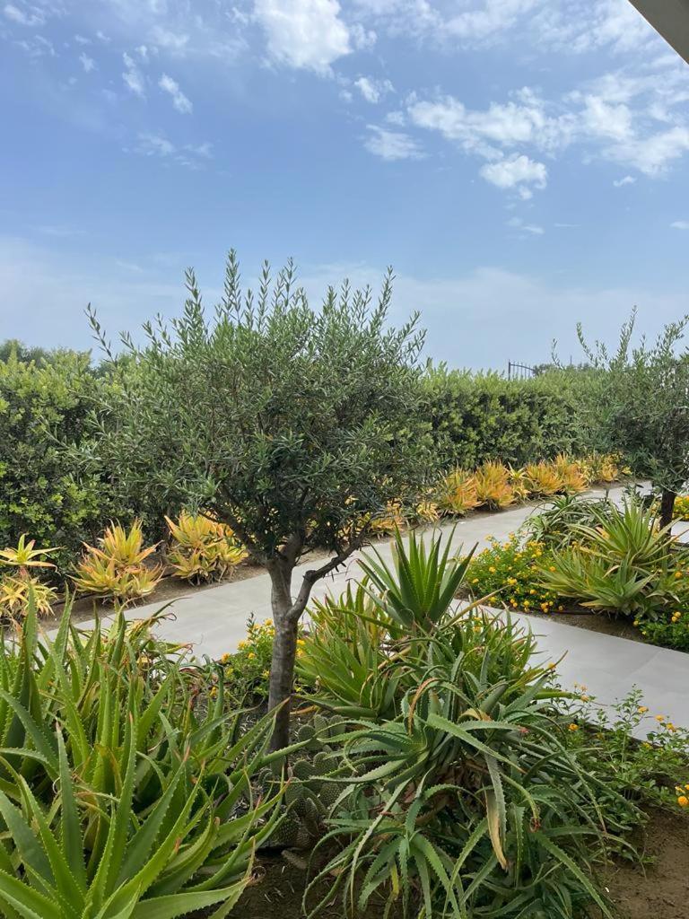 לסקארי B&B Lo&G מראה חיצוני תמונה