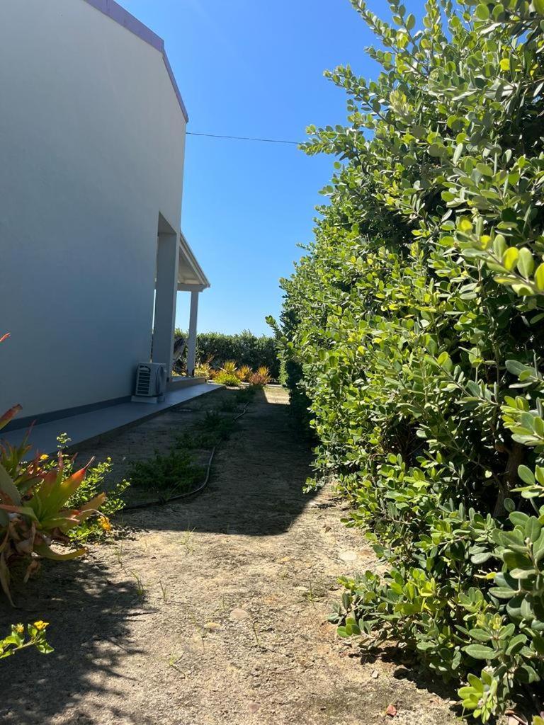לסקארי B&B Lo&G מראה חיצוני תמונה